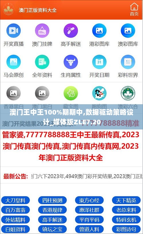 澳门王中王100%期期中,数据驱动策略设计_媒体版ZLE7.20