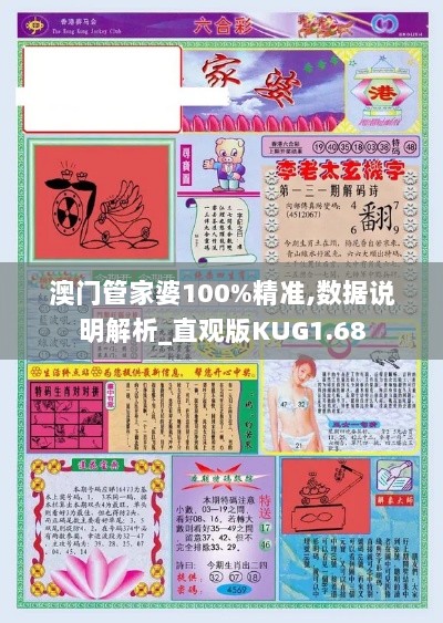 澳门管家婆100%精准,数据说明解析_直观版KUG1.68