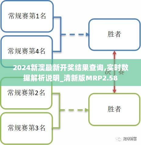 2024新澳最新开奖结果查询,实时数据解析说明_清新版MRP2.58