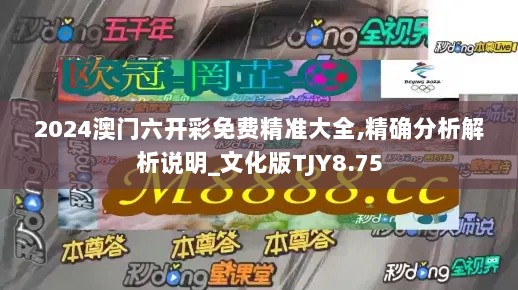 2024澳门六开彩免费精准大全,精确分析解析说明_文化版TJY8.75