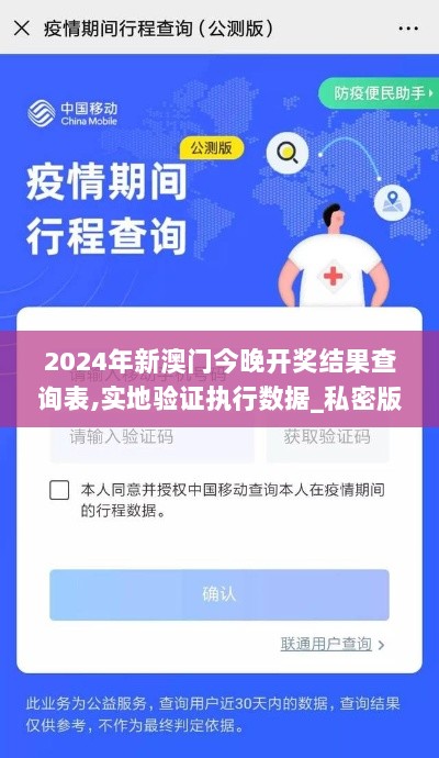 2024年新澳门今晚开奖结果查询表,实地验证执行数据_私密版MTQ2.63