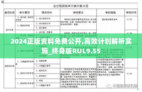 2024正版资料免费公开,高效计划解析实施_终身版RUL9.55