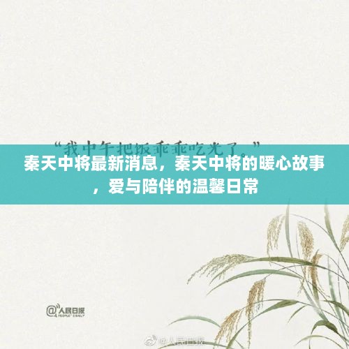 秦天中将最新动态，暖心故事中的爱与陪伴日常