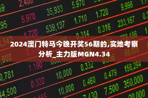 2024澳门特马今晚开奖56期的,实地考察分析_主力版MGN4.34