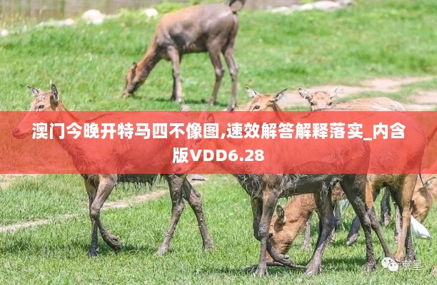 澳门今晚开特马四不像图,速效解答解释落实_内含版VDD6.28