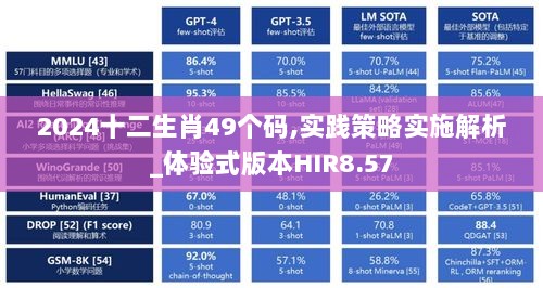 2024十二生肖49个码,实践策略实施解析_体验式版本HIR8.57