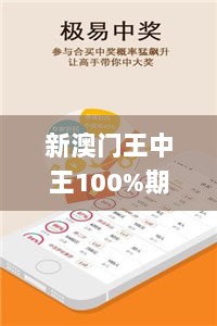 新澳门王中王100%期期中,平衡策略实施_专业版FQF8.20