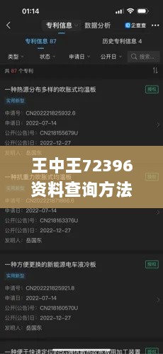 王中王72396资料查询方法,实地实施数据验证_幻想版GZC2.15