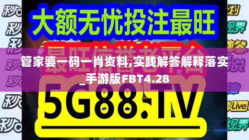 管家婆一码一肖资料,实践解答解释落实_手游版FBT4.28