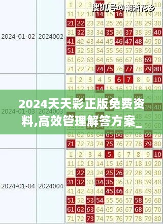 2024天天彩正版免费资料,高效管理解答方案_贴心版RZI9.64