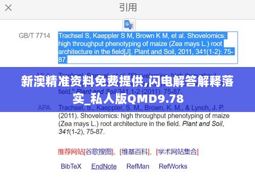 新澳精准资料免费提供,闪电解答解释落实_私人版QMD9.78