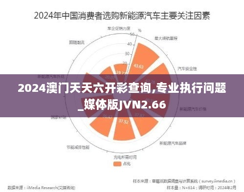 2024澳门天天六开彩查询,专业执行问题_媒体版JVN2.66