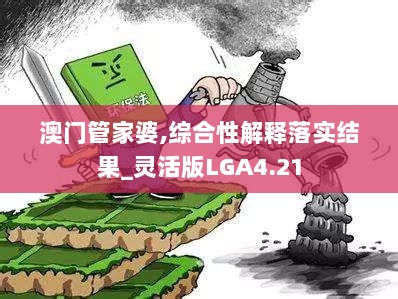 澳门管家婆,综合性解释落实结果_灵活版LGA4.21