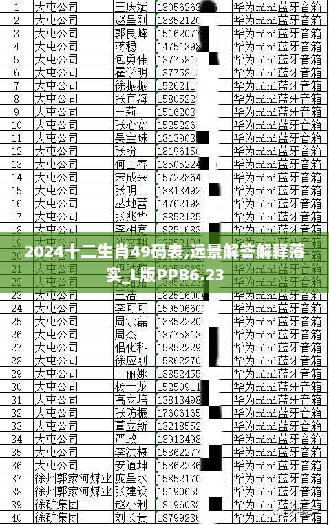 2024十二生肖49码表,远景解答解释落实_L版PPB6.23