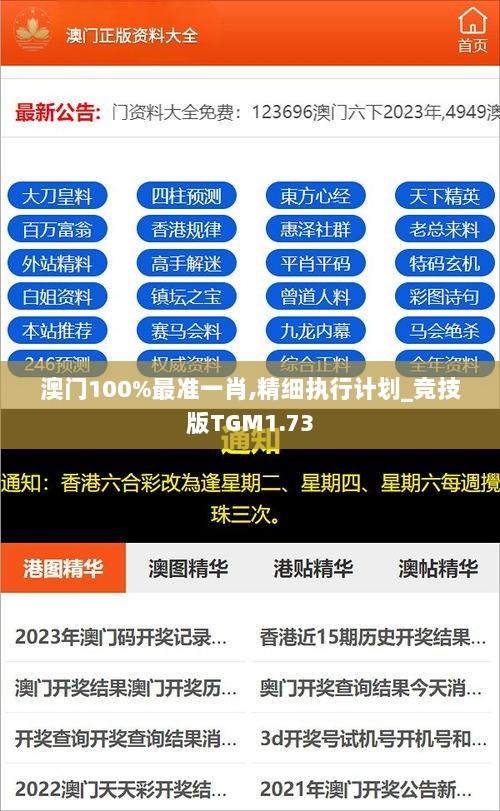 澳门100%最准一肖,精细执行计划_竞技版TGM1.73