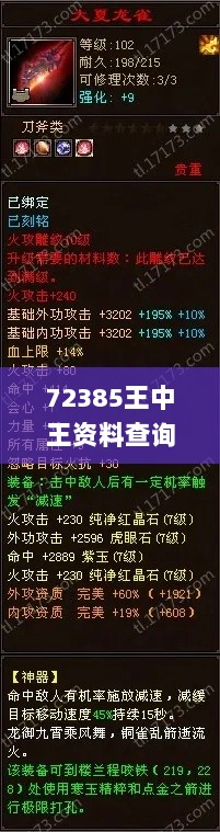 72385王中王资料查询功能,详细剖析解答解释计划_赛博版DSR1.39