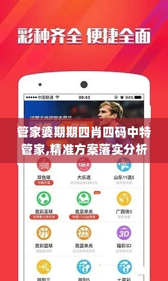 管家婆期期四肖四码中特管家,精准方案落实分析_PhabletLNB2.80