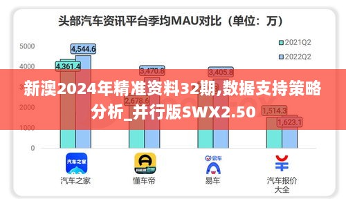 新澳2024年精准资料32期,数据支持策略分析_并行版SWX2.50