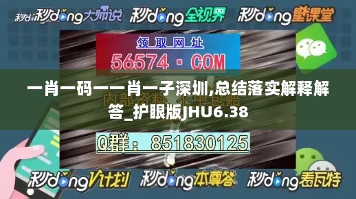 一肖一码一一肖一子深圳,总结落实解释解答_护眼版JHU6.38