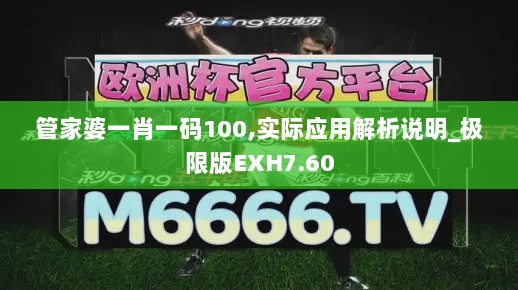 管家婆一肖一码100,实际应用解析说明_极限版EXH7.60