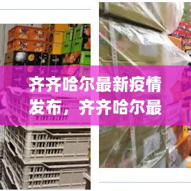 齐齐哈尔最新疫情发布，理解与应对的正确方式