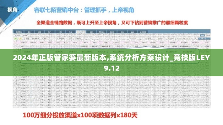 2024年正版管家婆最新版本,系统分析方案设计_竞技版LEY9.12