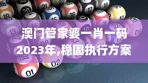 澳门管家婆一肖一码2023年,稳固执行方案计划_精简版CZH9.54