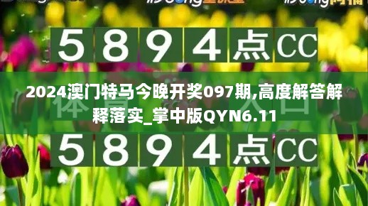 2024澳门特马今晚开奖097期,高度解答解释落实_掌中版QYN6.11