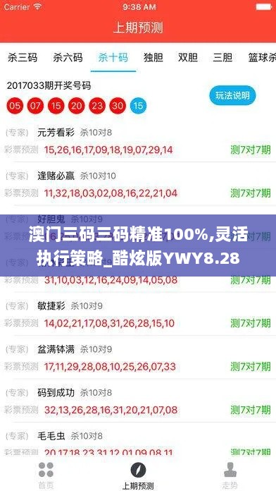 澳门三码三码精准100%,灵活执行策略_酷炫版YWY8.28