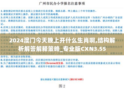 2024澳门今天晚上开什么生肖啊,结构解析解答解释策略_专业版CXN3.55