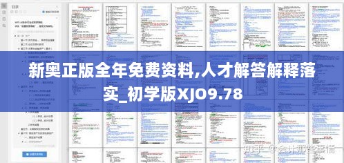 新奥正版全年免费资料,人才解答解释落实_初学版XJO9.78