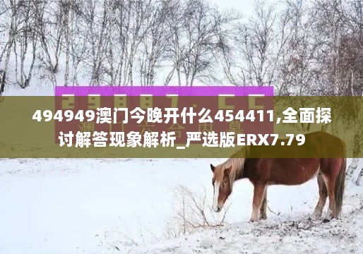 494949澳门今晚开什么454411,全面探讨解答现象解析_严选版ERX7.79