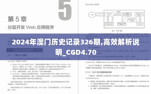 2024年澳门历史记录326期,高效解析说明_CGD4.70