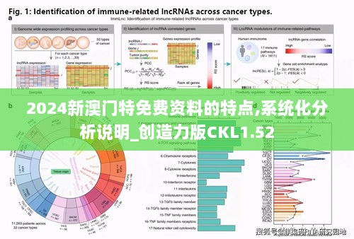 2024新澳门特免费资料的特点,系统化分析说明_创造力版CKL1.52