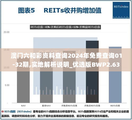 澳门六和彩资料查询2024年免费查询01-32期,实地解析说明_优选版BWP2.63