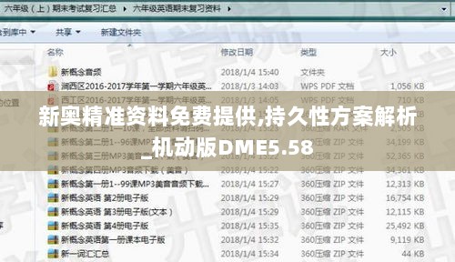 新奥精准资料免费提供,持久性方案解析_机动版DME5.58