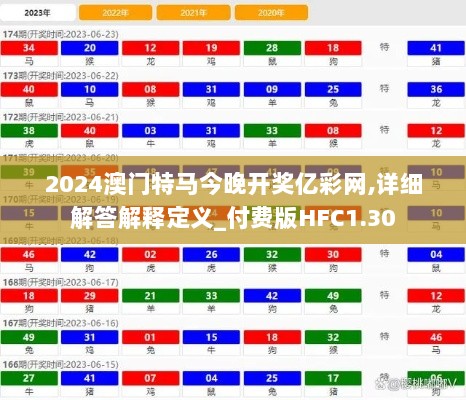 2024澳门特马今晚开奖亿彩网,详细解答解释定义_付费版HFC1.30