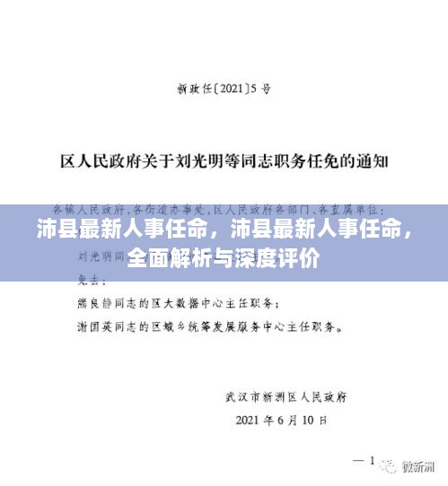 沛县最新人事任命，全面解析与深度评价