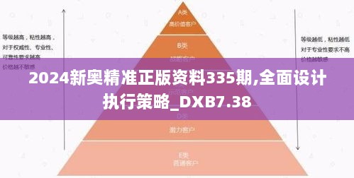 2024新奥精准正版资料335期,全面设计执行策略_DXB7.38