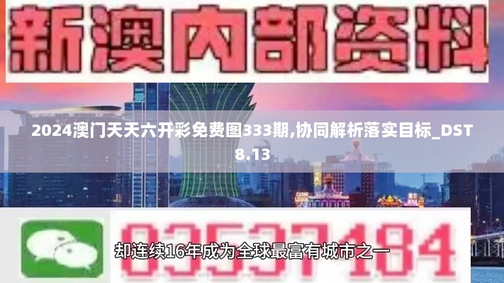 2024澳门天天六开彩免费图333期,协同解析落实目标_DST8.13