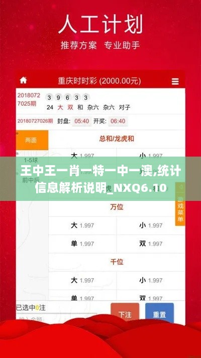 王中王一肖一特一中一澳,统计信息解析说明_NXQ6.10