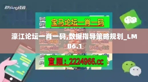 濠江论坛一肖一码,数据指导策略规划_LMB6.1