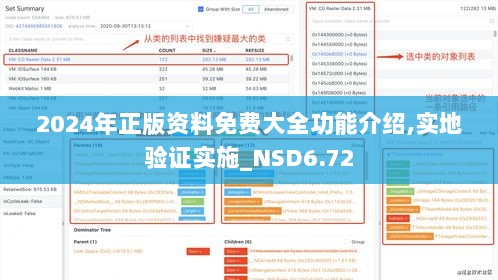 2024年正版资料免费大全功能介绍,实地验证实施_NSD6.72