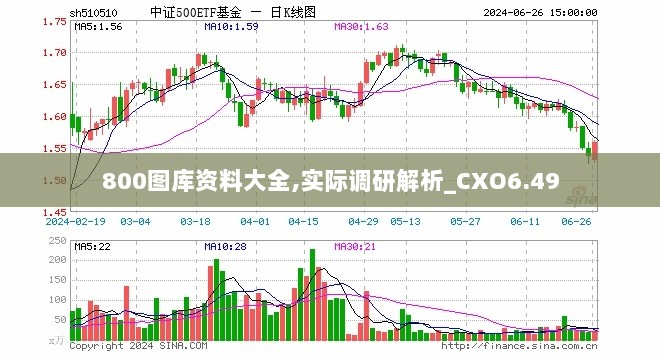 800图库资料大全,实际调研解析_CXO6.49