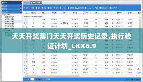 天天开奖澳门天天开奖历史记录,执行验证计划_LKX6.9