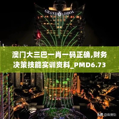 澳门大三巴一肖一码正确,财务决策技能实训资料_PMD6.73