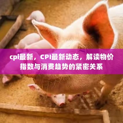 CPI最新动态，解读物价指数与消费趋势的紧密关系