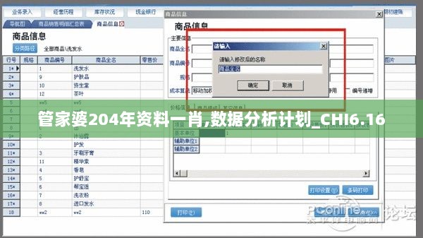 管家婆204年资料一肖,数据分析计划_CHI6.16