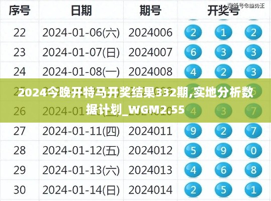 2024今晚开特马开奖结果332期,实地分析数据计划_WGM2.55