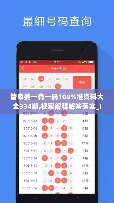 管家婆一肖一码100%准资料大全334期,视察解释解答落实_ILD2.29